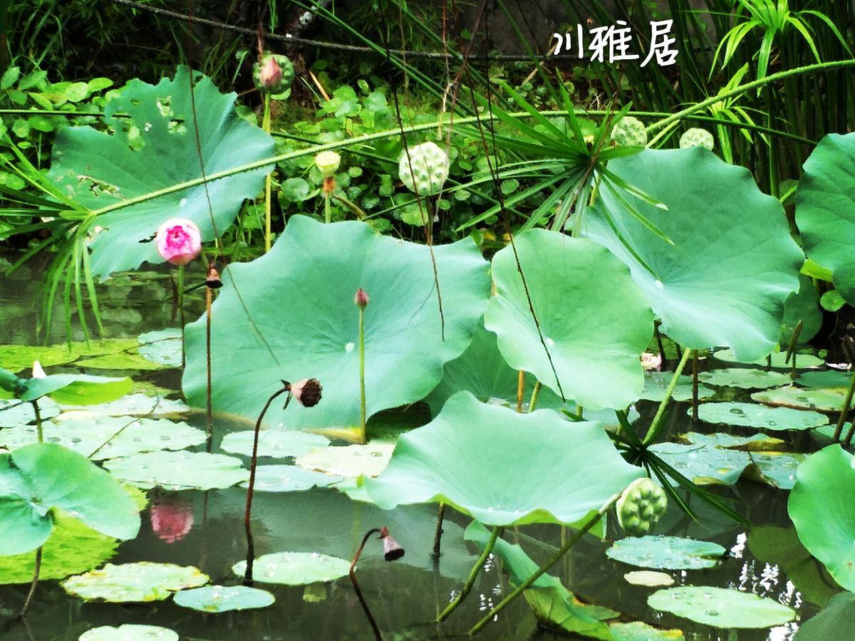 Chuan Ya Ju Homestay Qishan Exterior foto